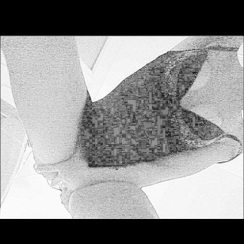 Safae - Wingen-sur-Moder - Bas-Rhin | Sexe Femme